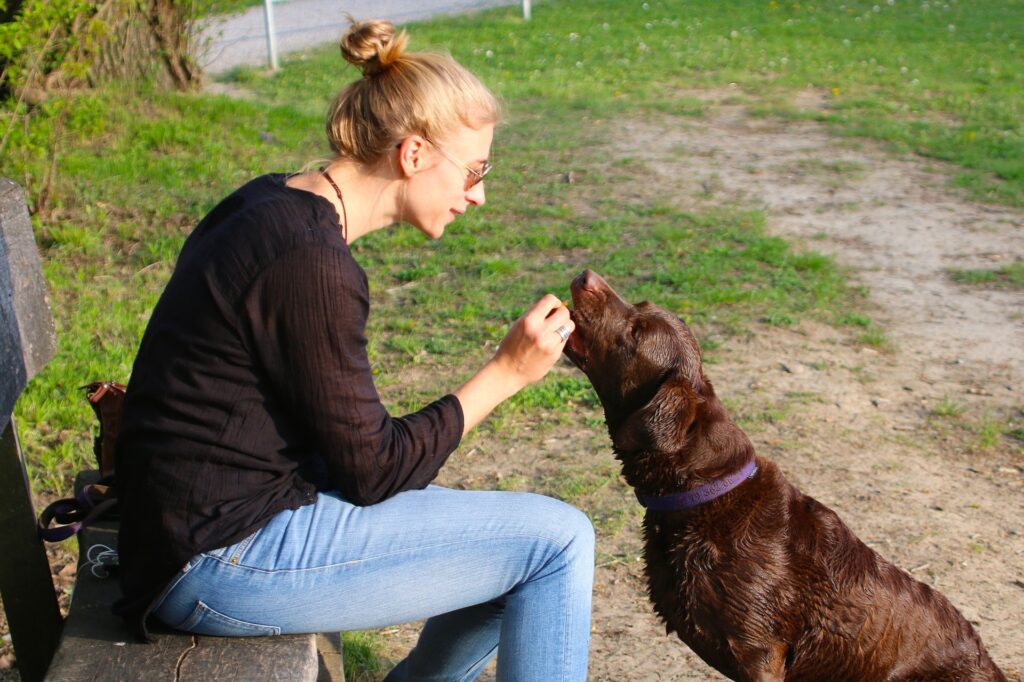 The Complete Guide to Getting a Dog from a Breeder