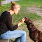 The Complete Guide to Getting a Dog from a Breeder